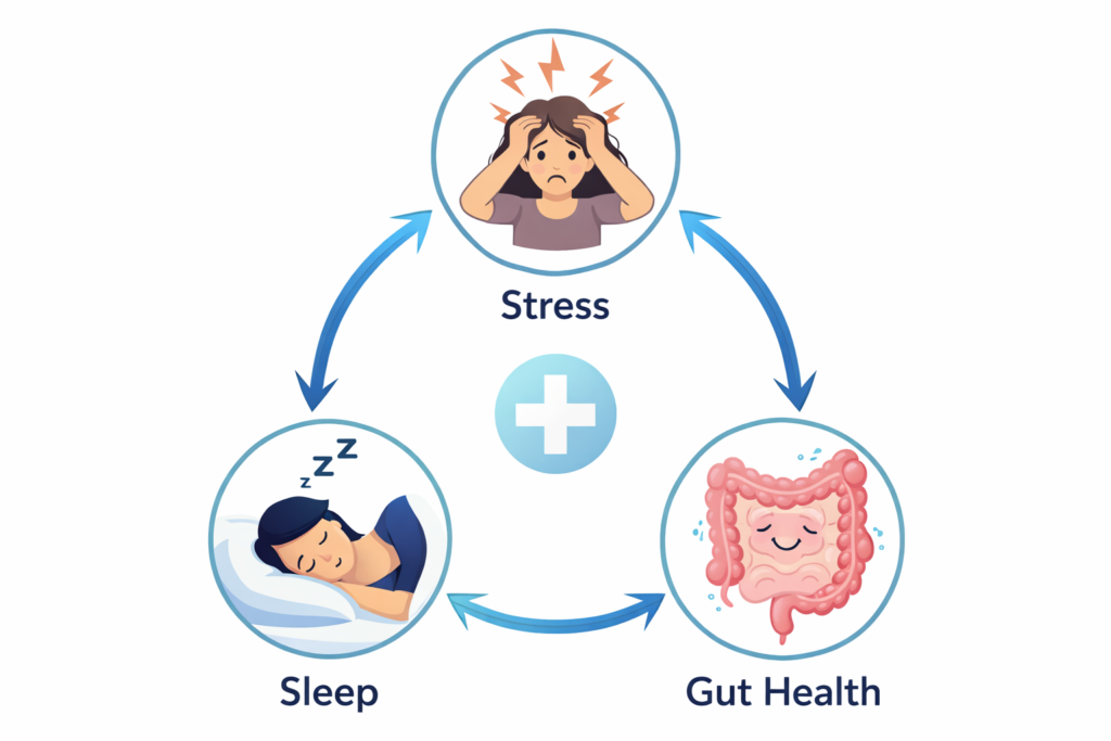How stress, gut health and sleep is interlinked